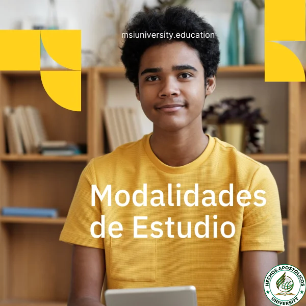 msiuniversity.education 1